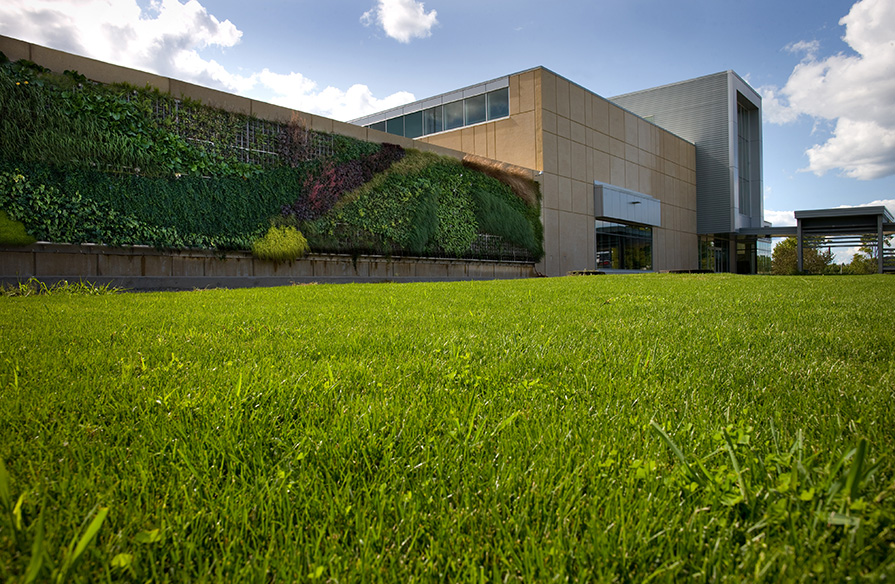 The Ivany Campus lawn and green wall.