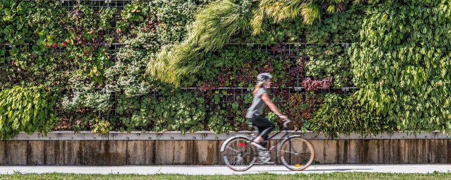 Photo of woman riding on bike outside