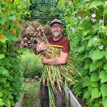 David Jarvis standing in a garden with greenery taller than him and his armed filled with long root vegetables.