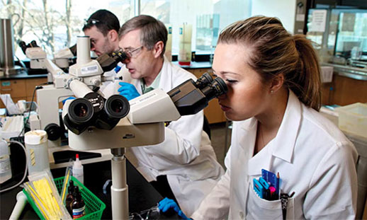 Photo shows three people in lab coats analyzing data through a microscope. 