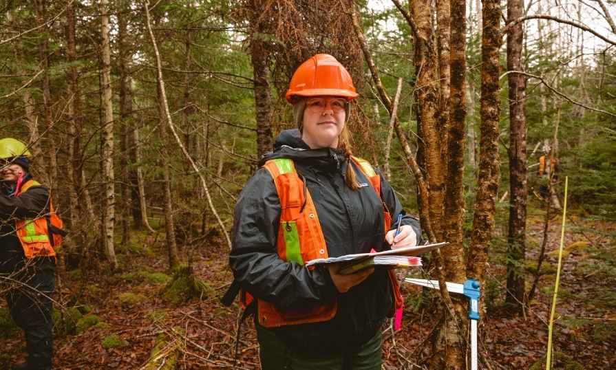 A forestry student wearing a safety vest and hard hat records field observations in a forest.