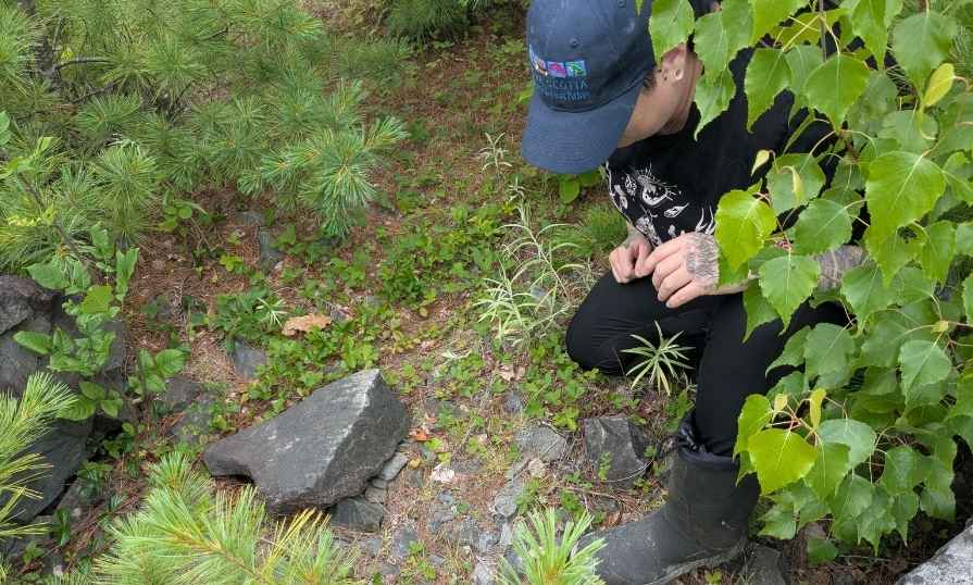 A student conducting surveys on endangered species.