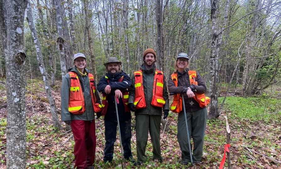A group of foresters wearing forest gear in the woods.