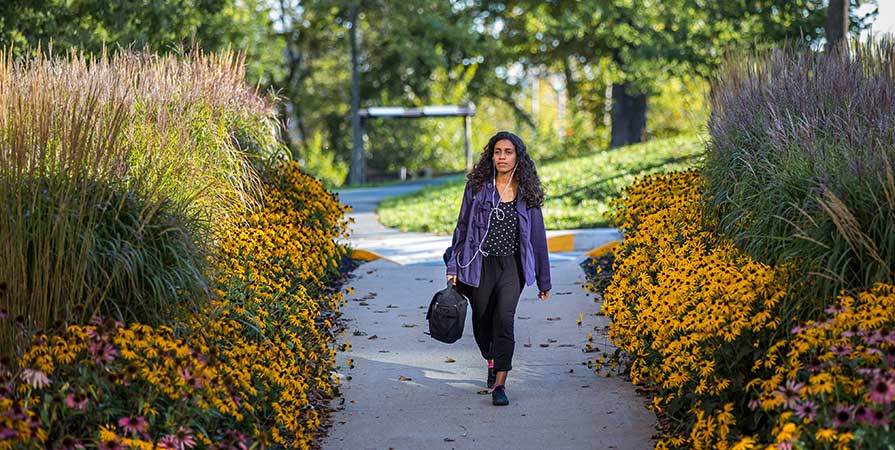 A student walks along a path in front of Ivany Campus with gardens on either side.