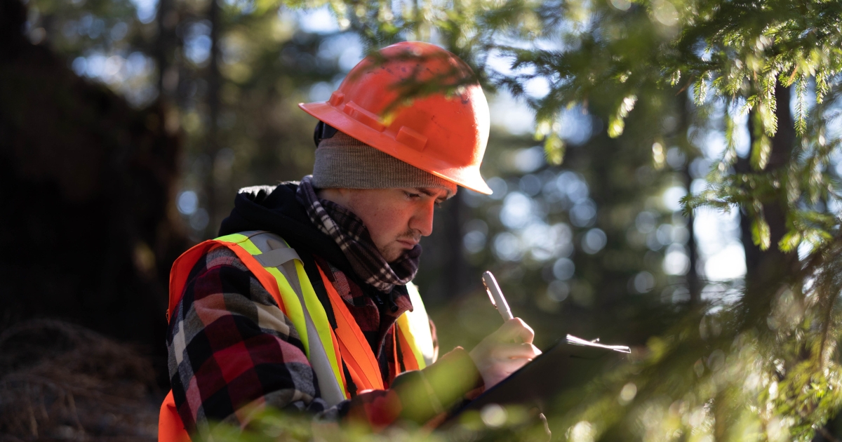 Tree Planting Best Practices Programs NSCC